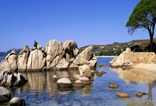 PG：萨拉斯：希望拉齐奥能尽快重夺意甲冠军.